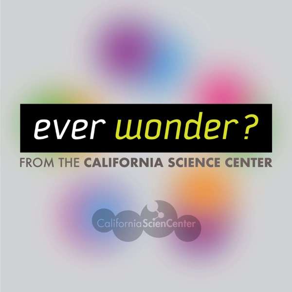 Ever Wonder? from the California Science Center