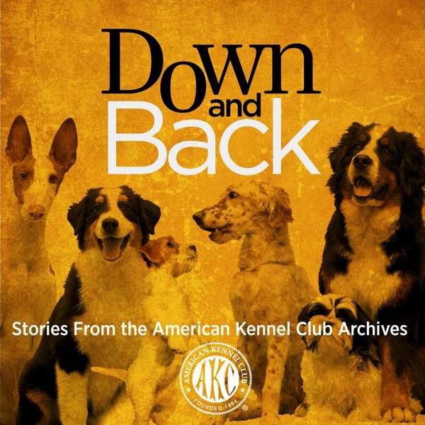 Down and Back: AKC Dog Podcast