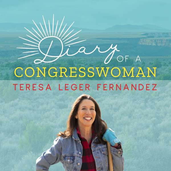 Diary of a Congresswoman