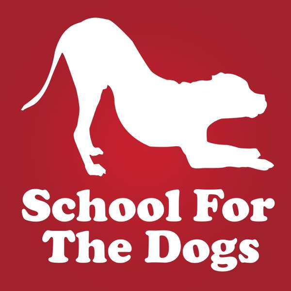 How To Train Your Dog With Love And Science – Dog Training with Annie Grossman, School For The Dogs
