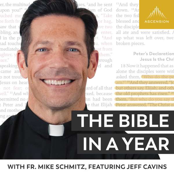 ascension fr mike schmitz bible in a year
