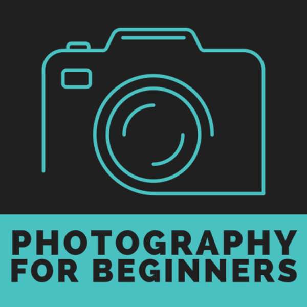 Photography for Beginners | Learn the Basics of Photography
