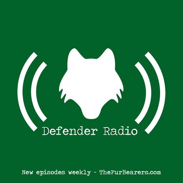 Defender Radio and The Switch
