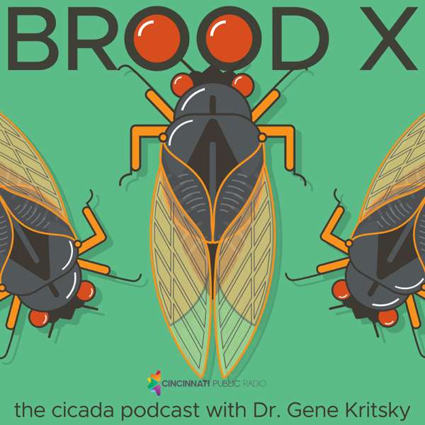 Brood X: The Cicada Podcast