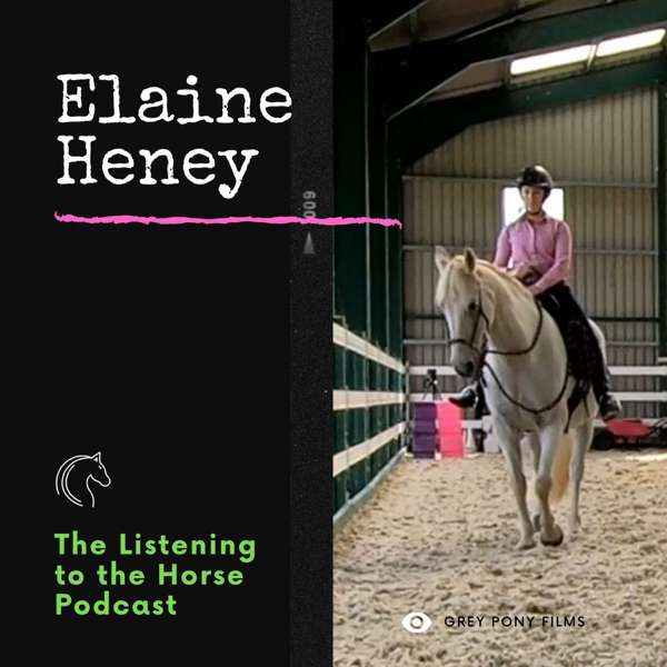 Listening to the Horse by Elaine Heney | Equine training, education, psychology, horsemanship, groundwork, riding & dressage for the equestrian. With horse care, health, ownership, knowledge, communication, mind, connection & behaviour information tips.