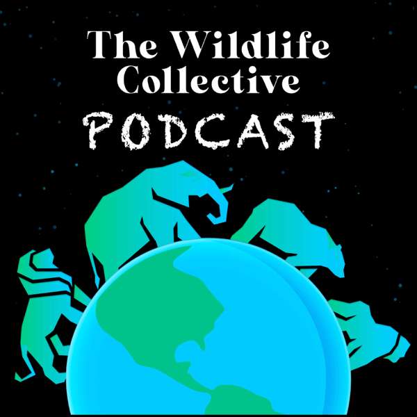 The Wildlife Collective Podcast