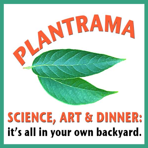 Plantrama – plants, landscapes, & bringing nature indoors