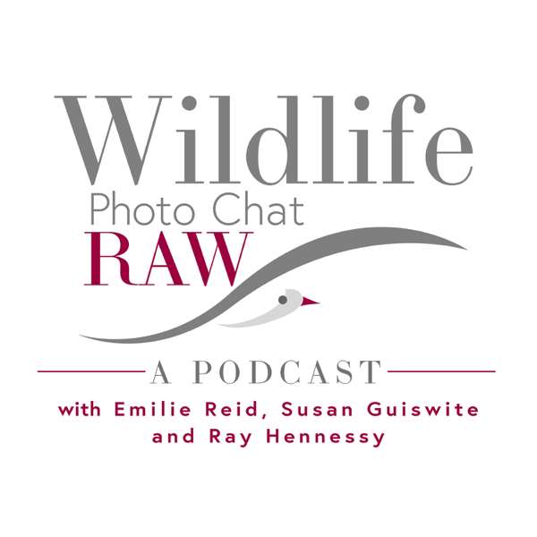 Wildlife Photo Chat Raw