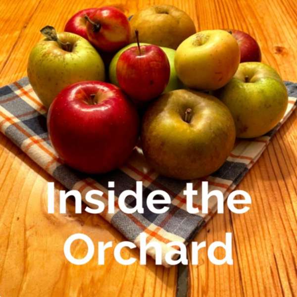 Inside the Orchard