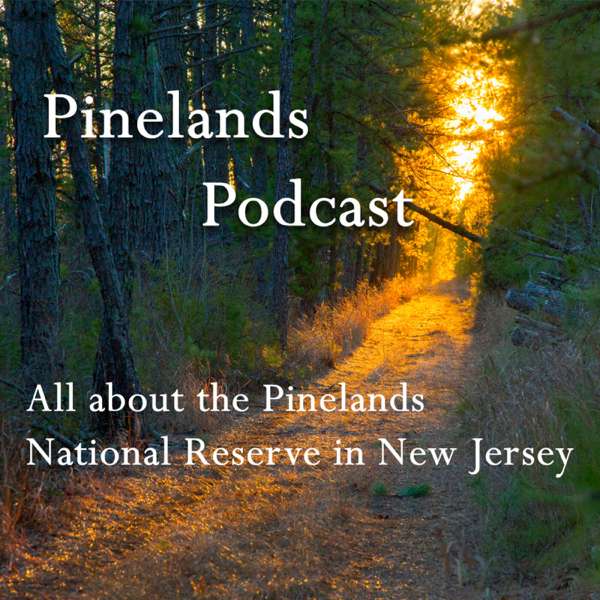 The Pine Barrens Podcast