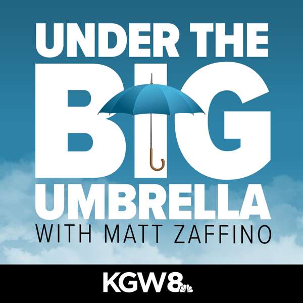 Under the Big Umbrella with Matt Zaffino