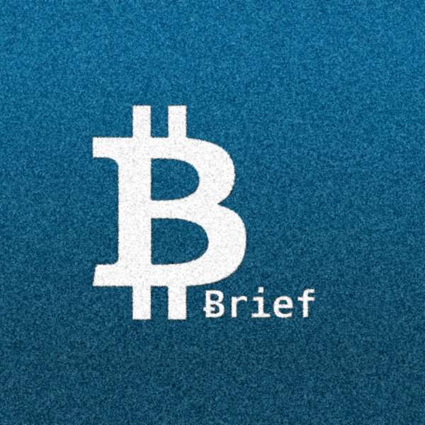 Bitcoin Brief