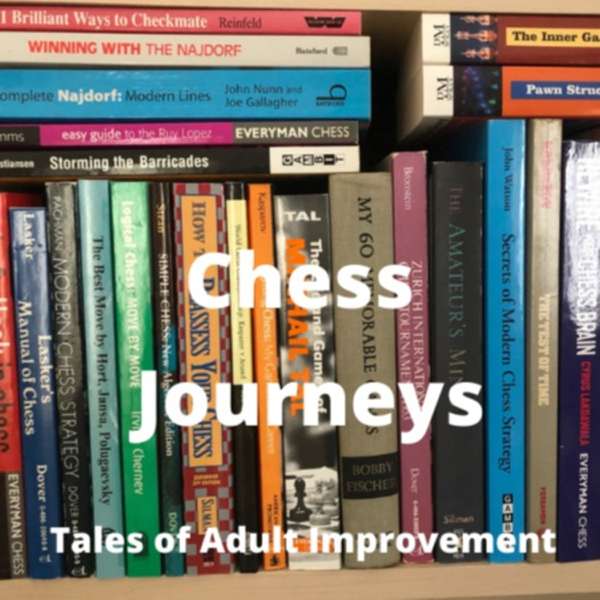 Chess Journeys: Tales of Adult Improvement