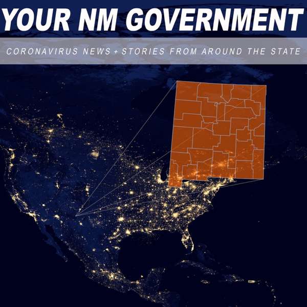 Your New Mexico Government