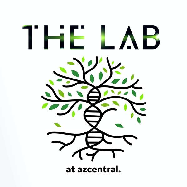 The Lab at azcentral