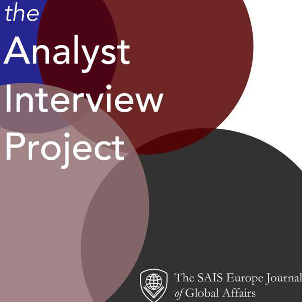 The Analyst Interview Project