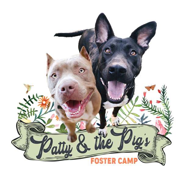 Patty & the Pig’s Foster Camp