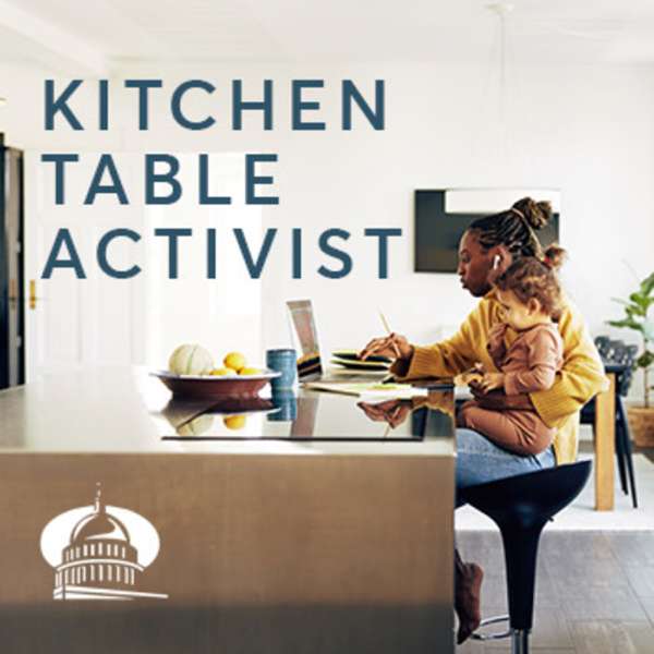 The Kitchen Table Activist