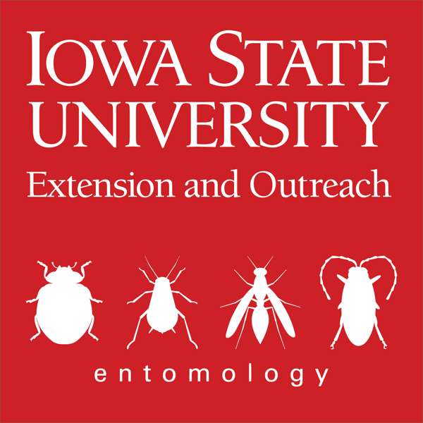 Soybean Pest Podcast