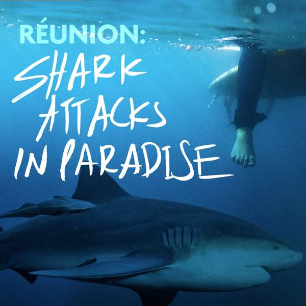 Shark Attacks in Paradise