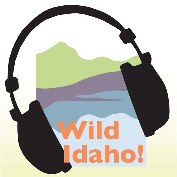 Wild Idaho! Podcast