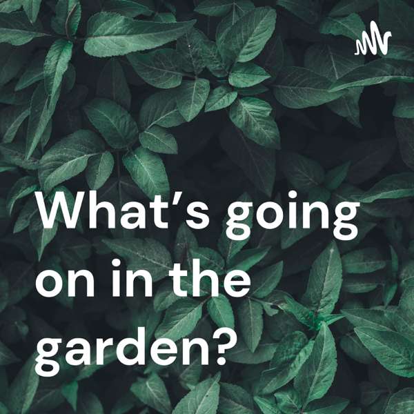 What’s going on in the garden?