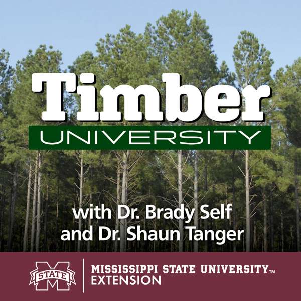 Timber University