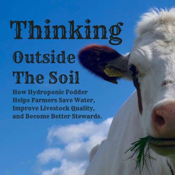 Thinking Outside The Soil