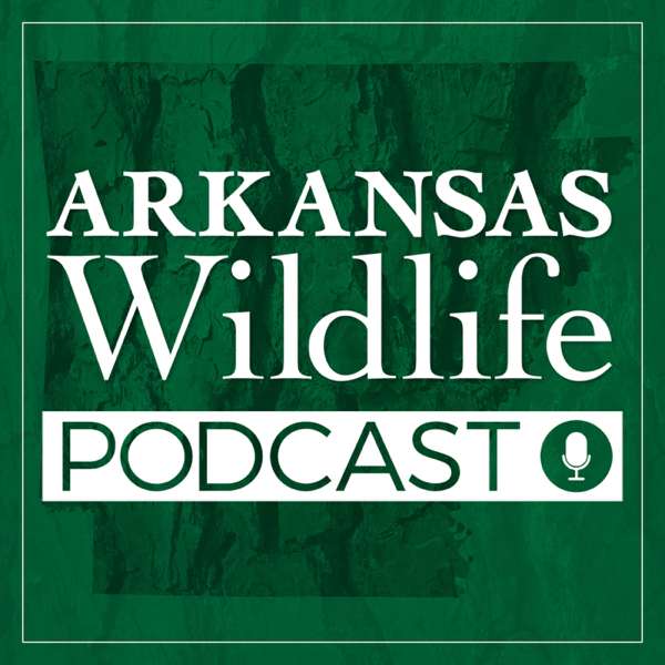Arkansas Wildlife