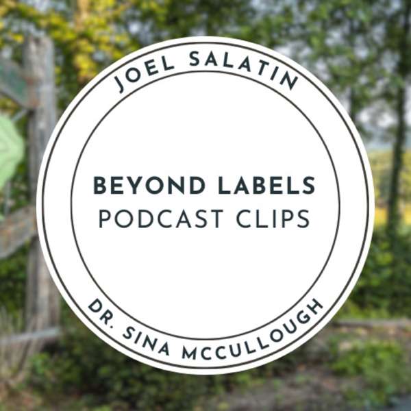 Beyond Labels Clips