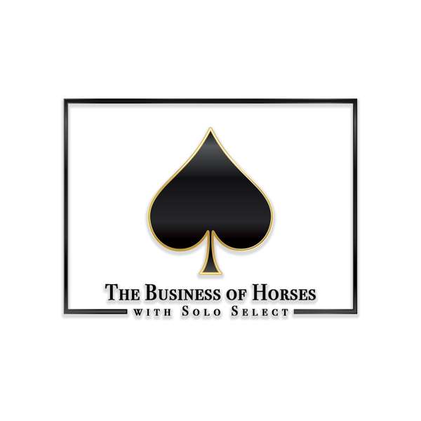 The Business of Horses with Solo Select