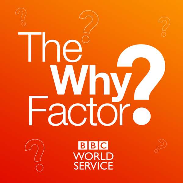 The Why Factor