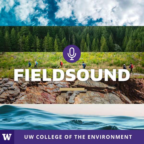FieldSound – The official UW College of the Environment podcast