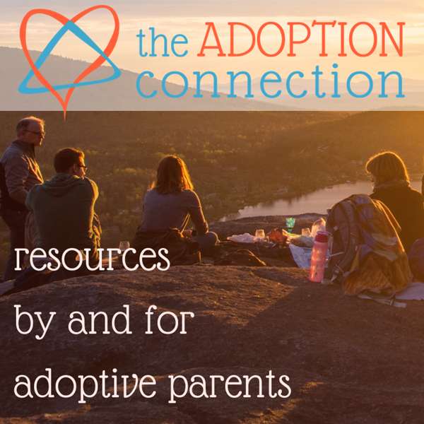 Adoption Wise (formerly The Adoption Connection)