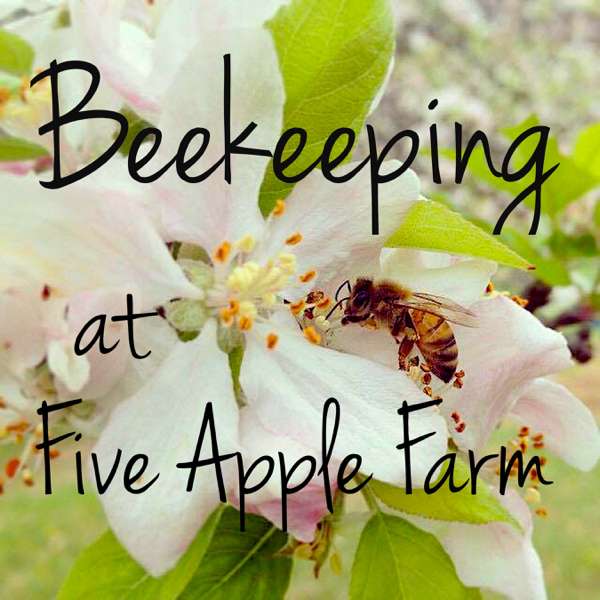 Beekeeping at FiveApple