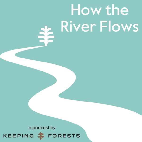 How the River Flows