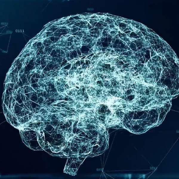Neuroscience – Neuroscience, Andrew Huberman