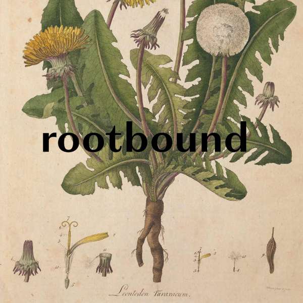 rootbound