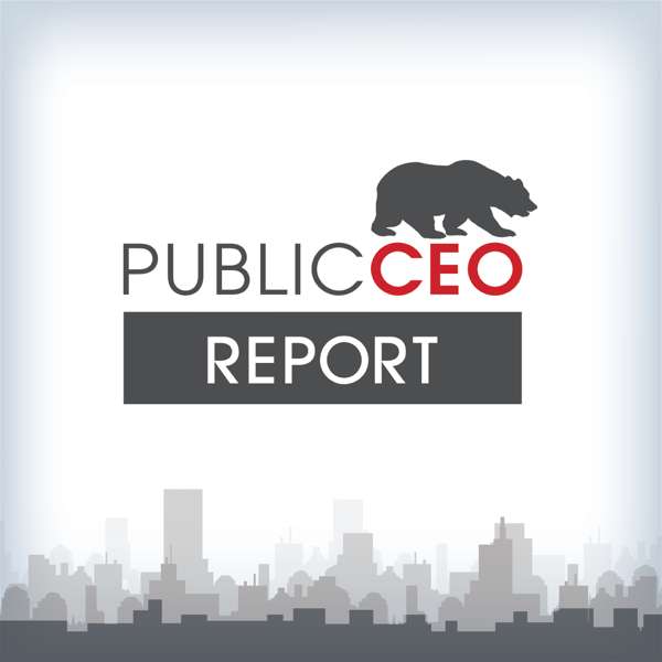 PublicCEO Report
