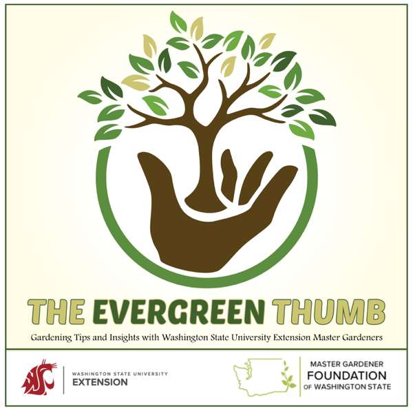 The Evergreen Thumb