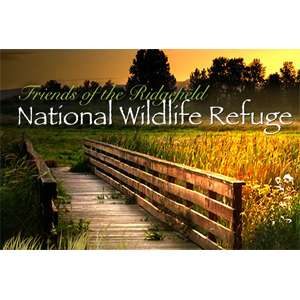 Ridgefield National Wildlife Refuge Auto Tour – Ridgefield, WA