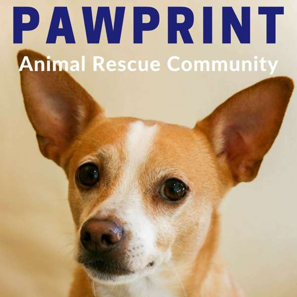 Pawprint | animal rescue podcast for dog, cat, and other animal lovers – Nancy and Harold Rhee