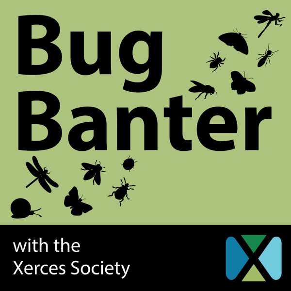 Bug Banter with the Xerces Society – Invertebrate illustrations by freepik.com