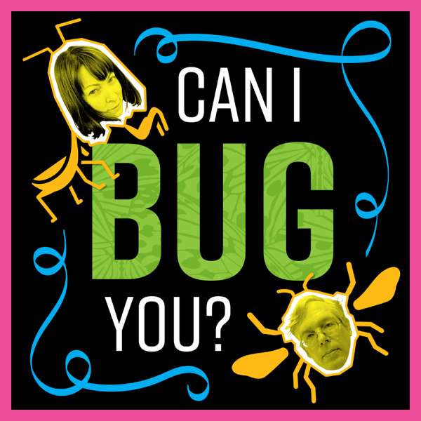 Can I Bug You?