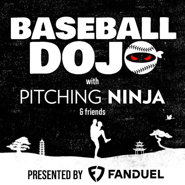 Baseball Dojo with Pitching Ninja