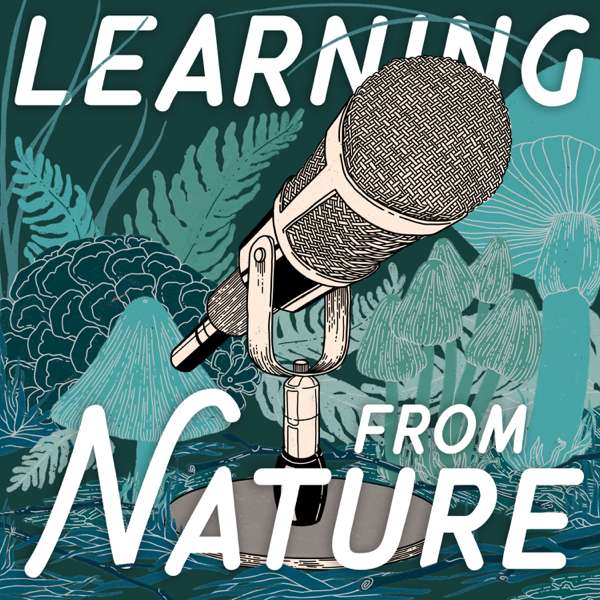 Learning from Nature: The Biomimicry Podcast with Lily Urmann – Lily Urmann
