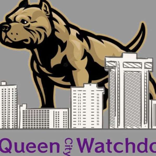 In The Know (w/ Queen City Watchdog)