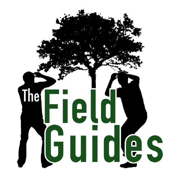 The Field Guides – The Field Guides