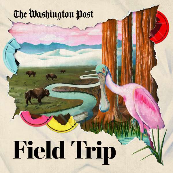 Field Trip – The Washington Post