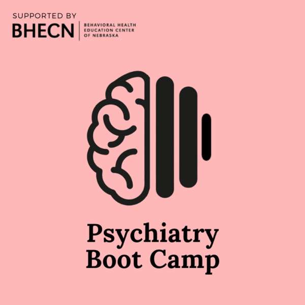 Psychiatry Boot Camp – Mark Mullen, MD